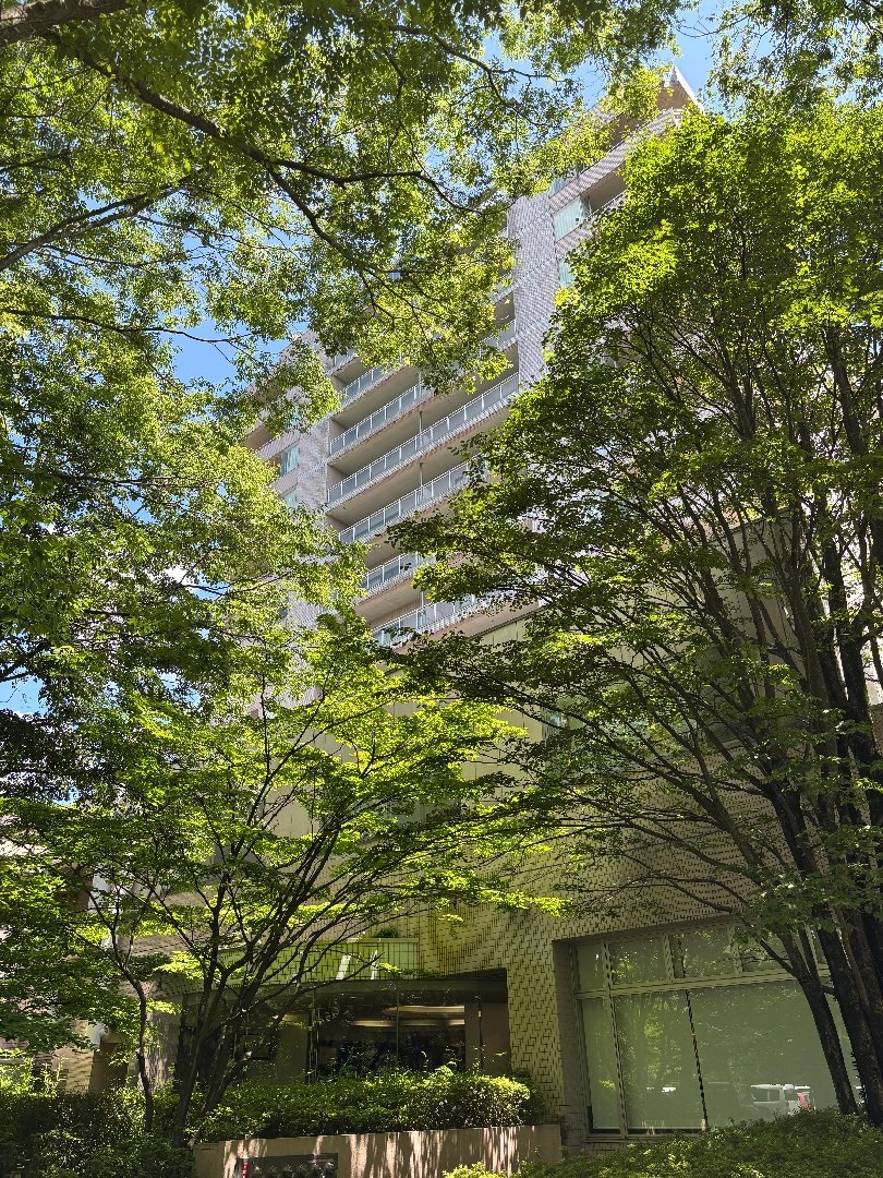 7CEC2EB5-C1B5-4FE3-9F8C-2CBB4440AE98.jpeg