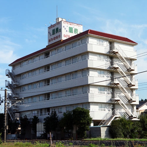 Appearance image