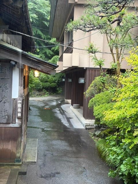 IMG_0039.jpeg