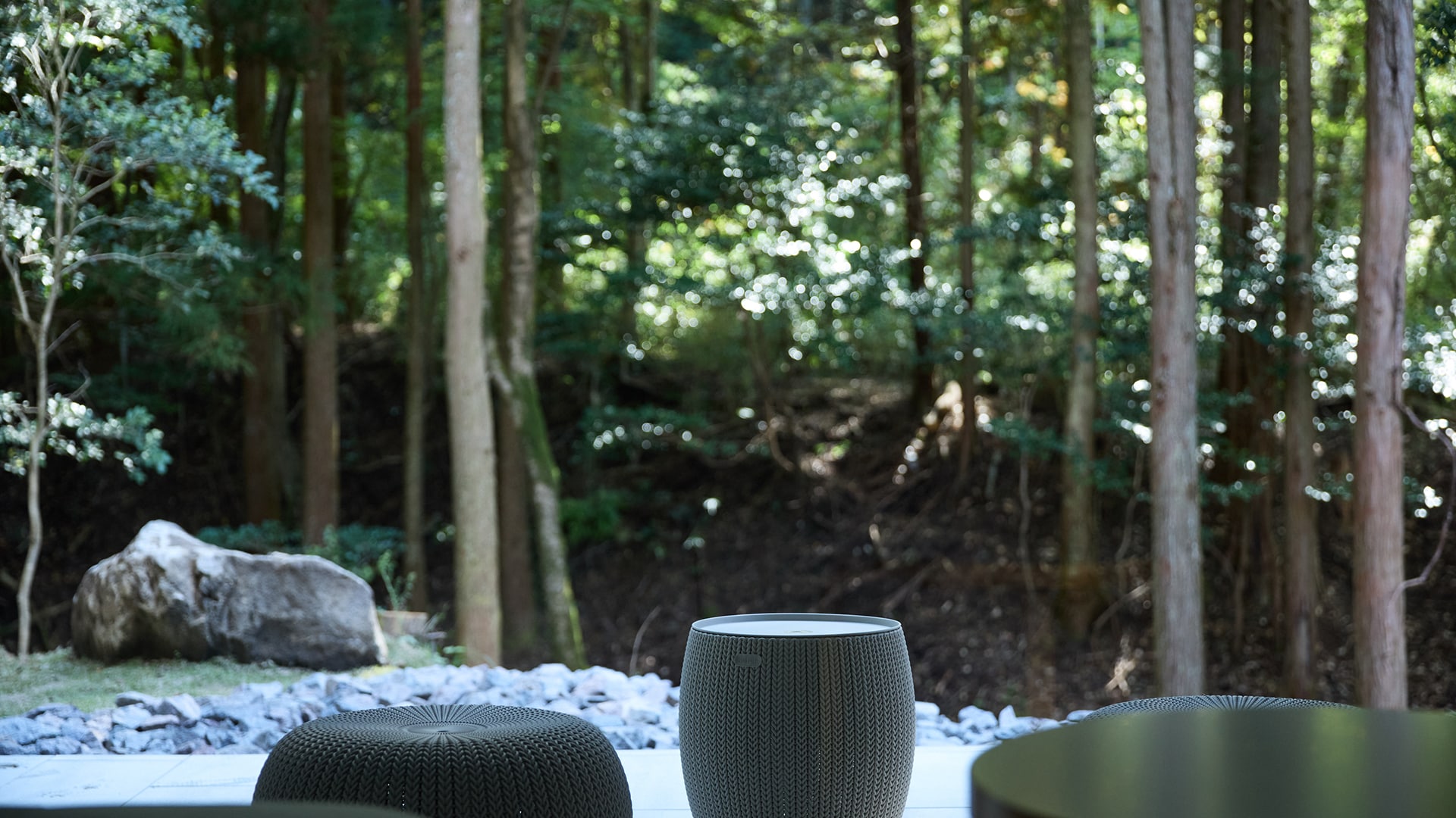 본관 디럭스 트윈