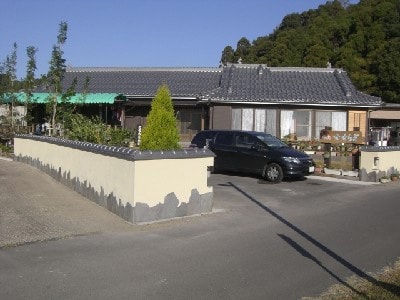 Appearance image