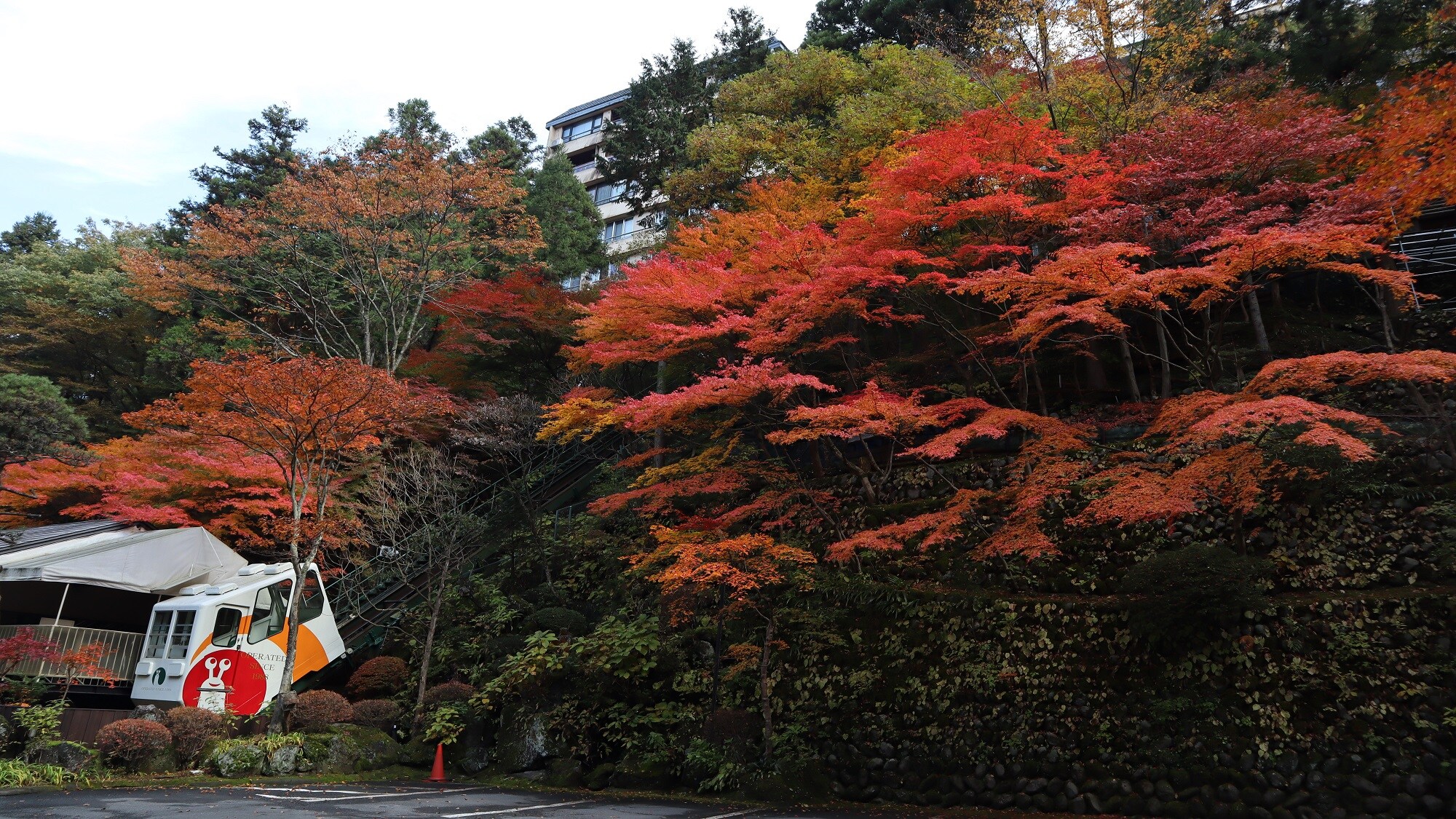 We will take you on a cable car from the parking lot to the entrance of Kanoya, enjoying the changing seasons.