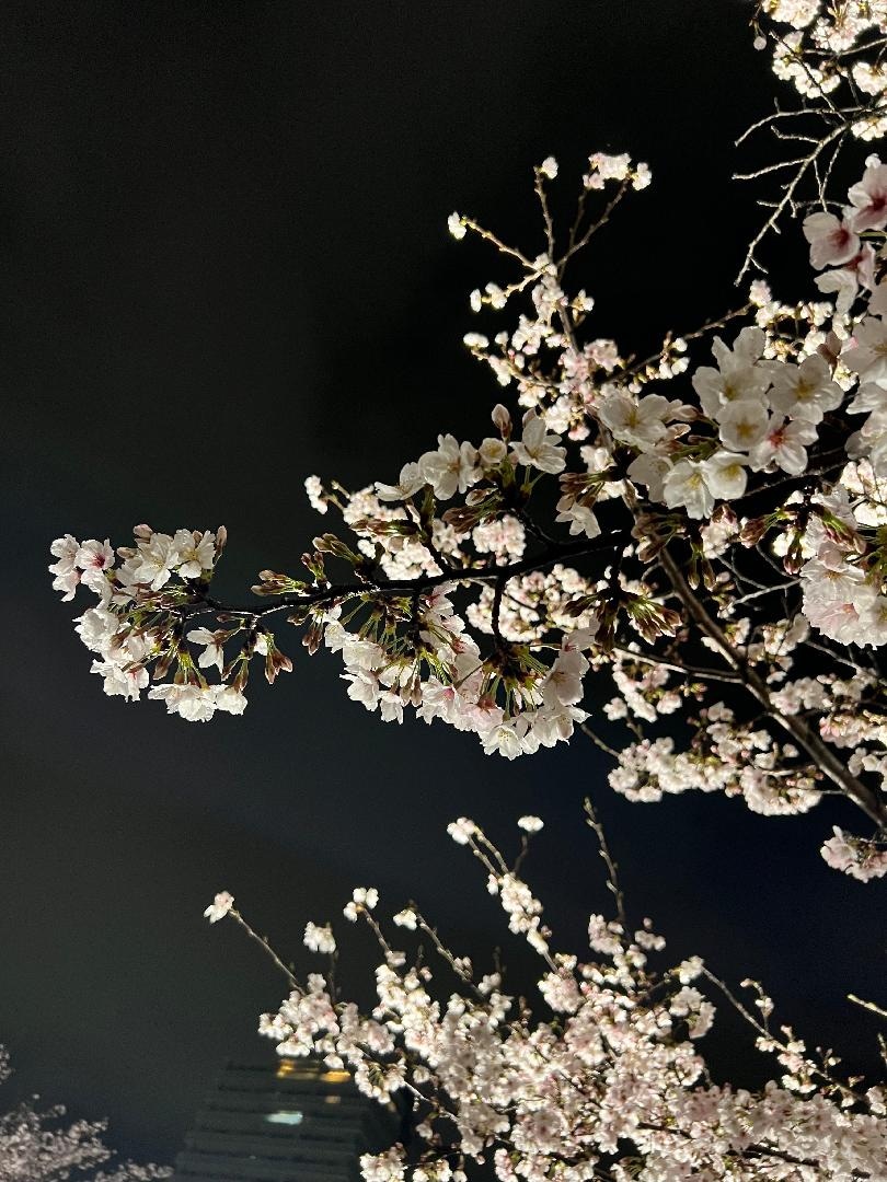 1DD2CC6D-B0F1-4707-9D22-087697F7178A.jpeg