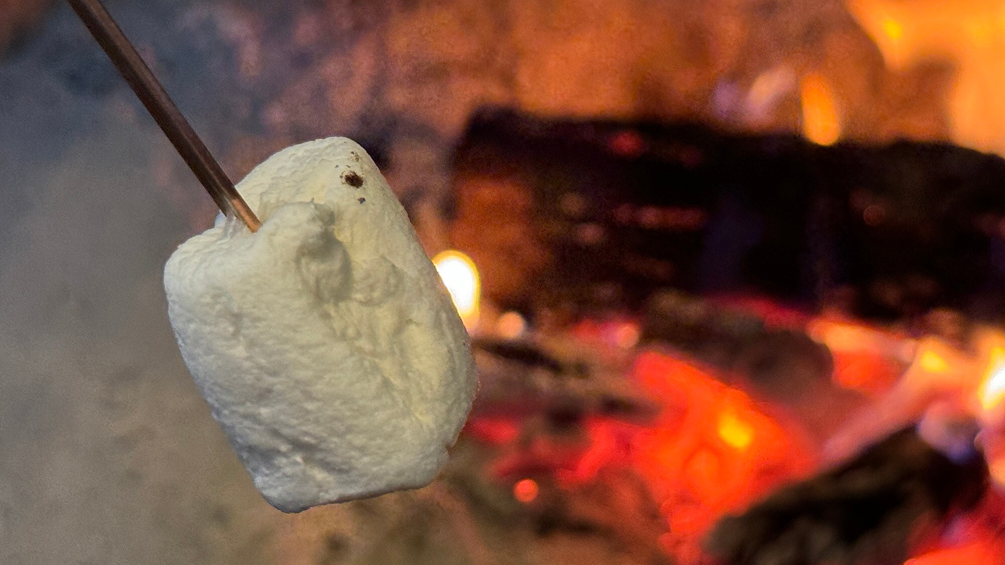 -Memanggang marshmallow setelah makan malam-