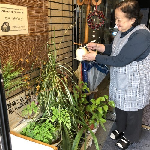 [ต้นไม้ในบ้าน] เราต้องการให้โรงแรมของเราเป็นโรงแรมที่ทำให้คุณรู้สึกสบายใจเมื่อเดินเข้าประตูมา ดังนั้นเราจึงปลูกต้นไม้ในบ้านมาเป็นเวลานานแล้ว