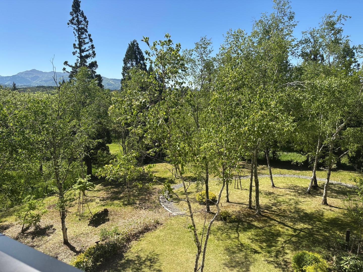 C7062B50-490A-4E2D-B4C5-5A37CF3D7027.jpeg
