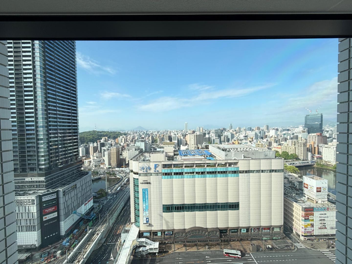 IMG_2650.jpeg