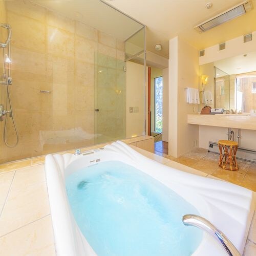 [Double] Bathroom specifications vary depending on the room (example of a guest room)