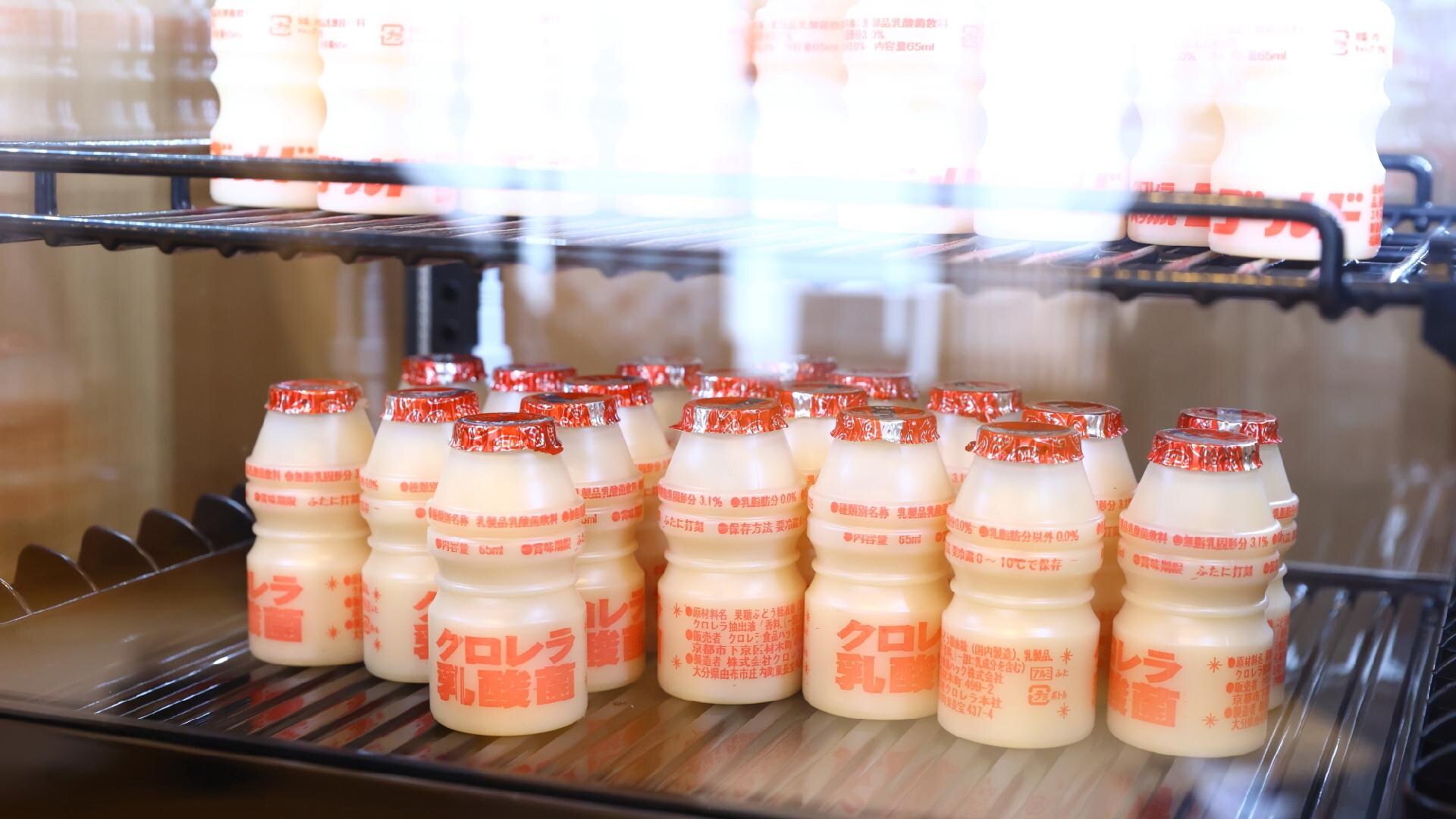 [Service] Lactic acid drink (11th floor rest area 5:00-10:00)