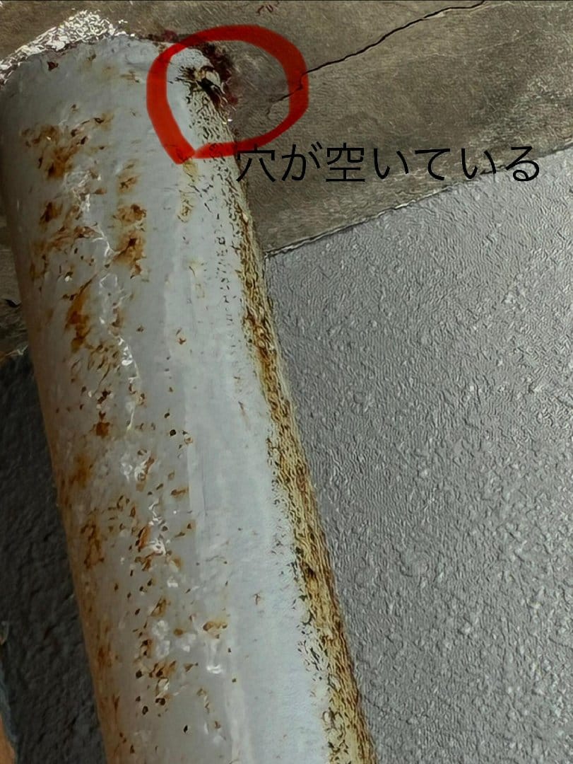 439B1F25-C922-4CF9-AF92-6C6C748A123C.jpeg