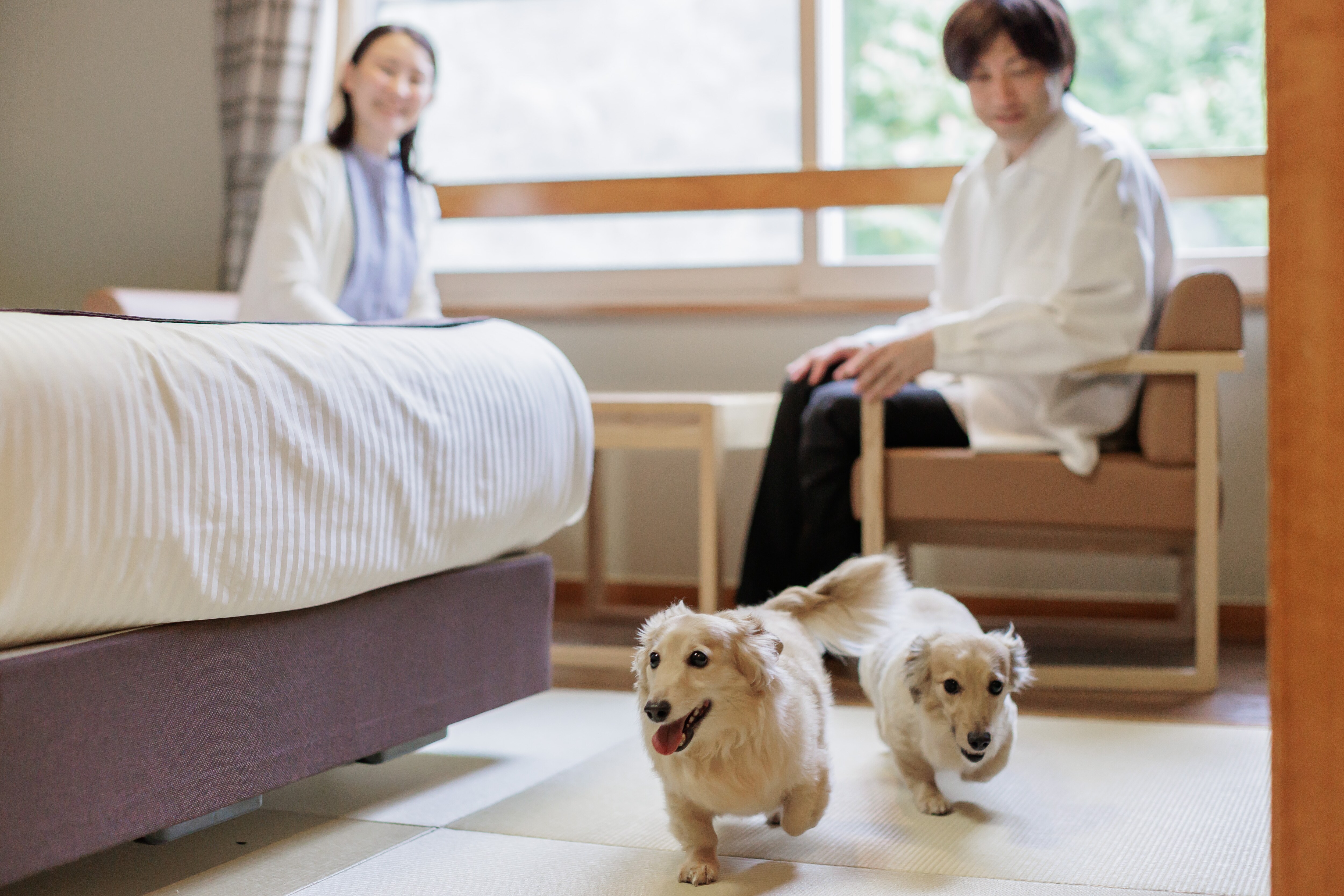 [จาก 2/1] ปรับปรุงใหม่เป็นโรงเตี๊ยมน้องหมา♪