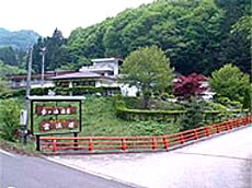 Appearance image