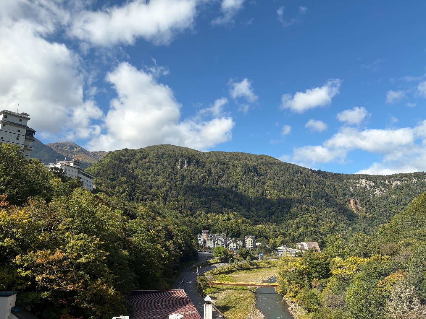 IMG_5654.jpeg