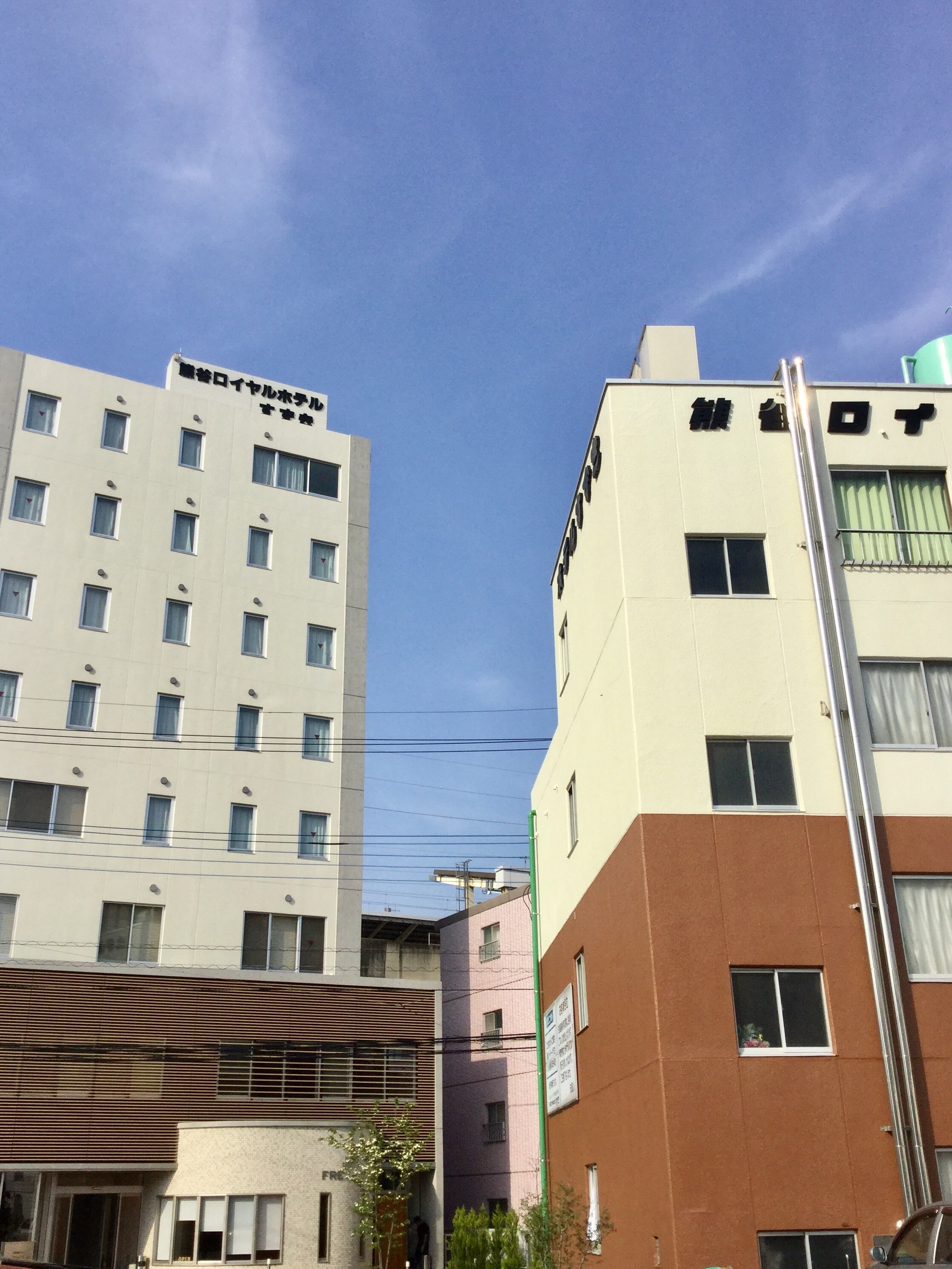 Annex