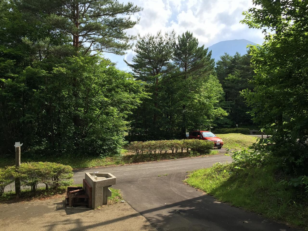 Auto camping site with fresh greenery