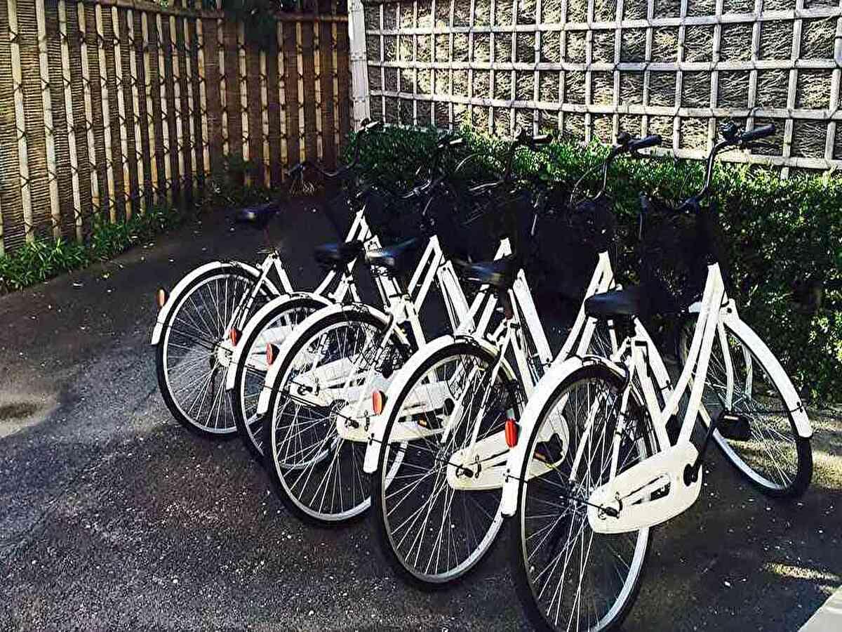Bicycle rental (free)