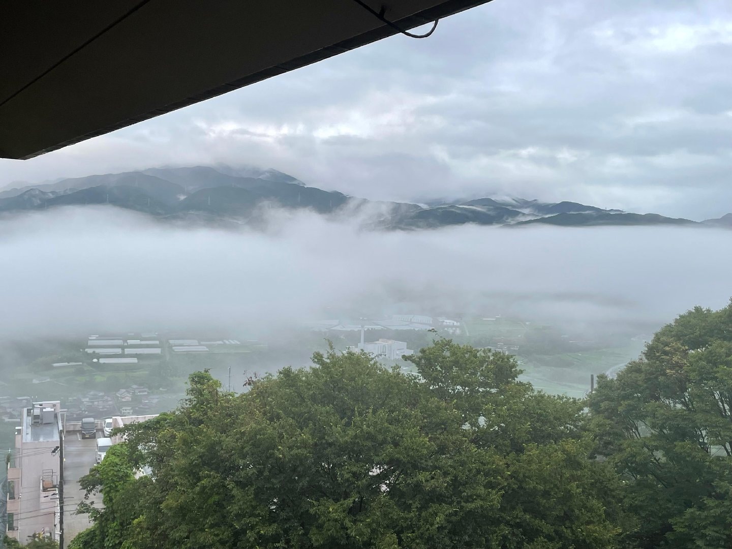 IMG_1504.jpeg