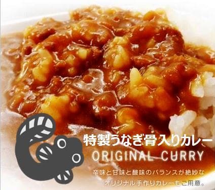 Curry with eel bones