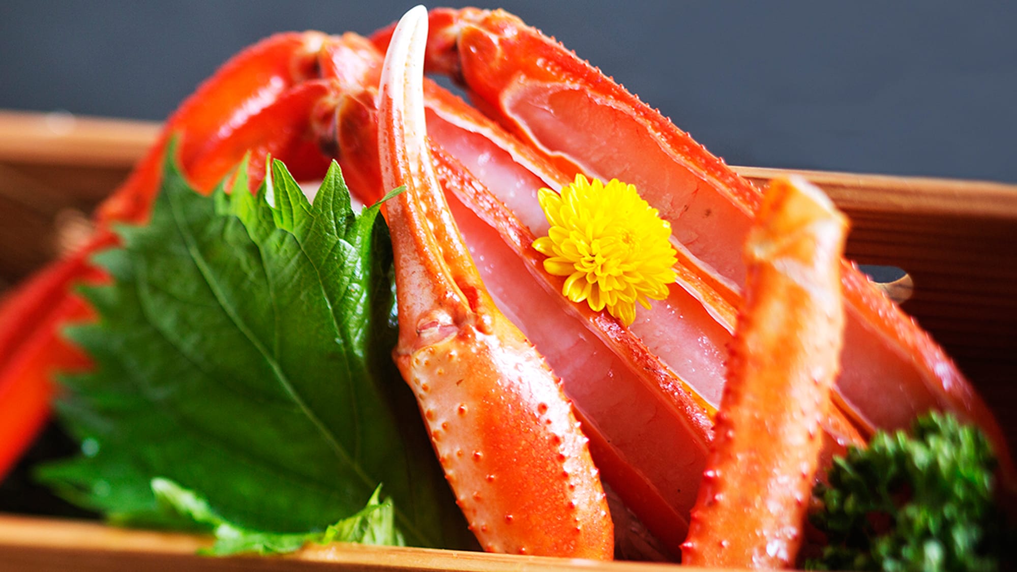 [sashimi kepiting merah]