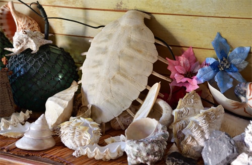 Treasures found on the beach