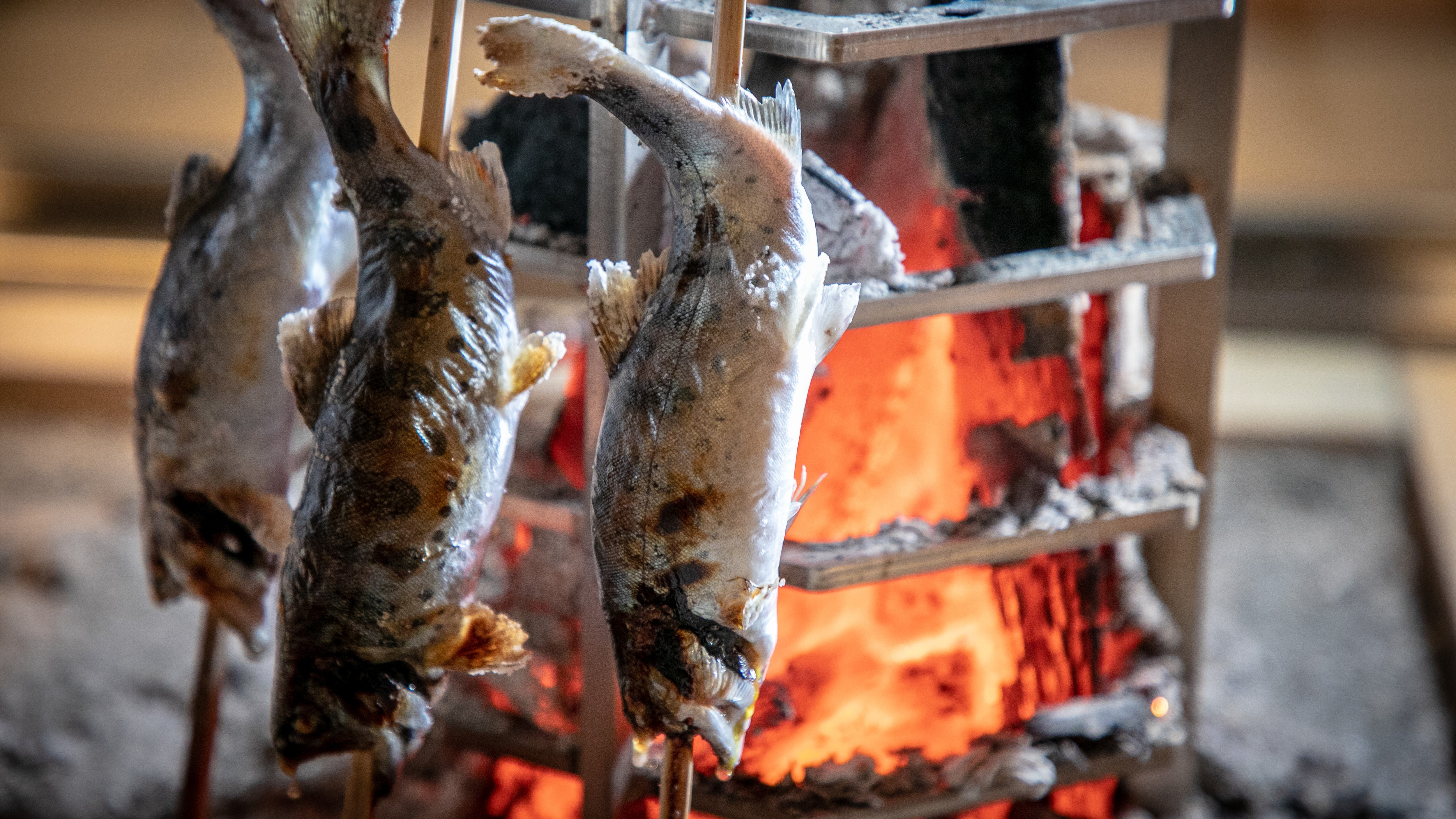 [Makanan] Ikan trout yamame panggang
