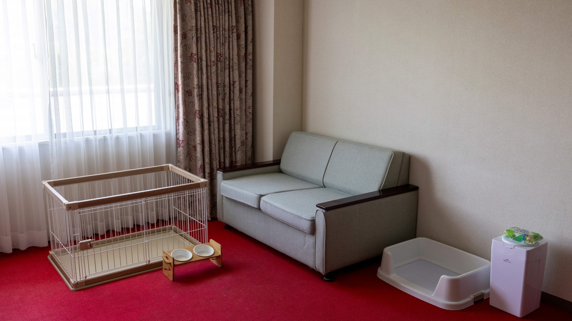 Dog Friendly Twin Room