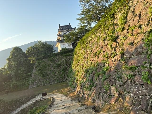 image5.jpeg