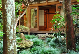Second Garden (Representative)