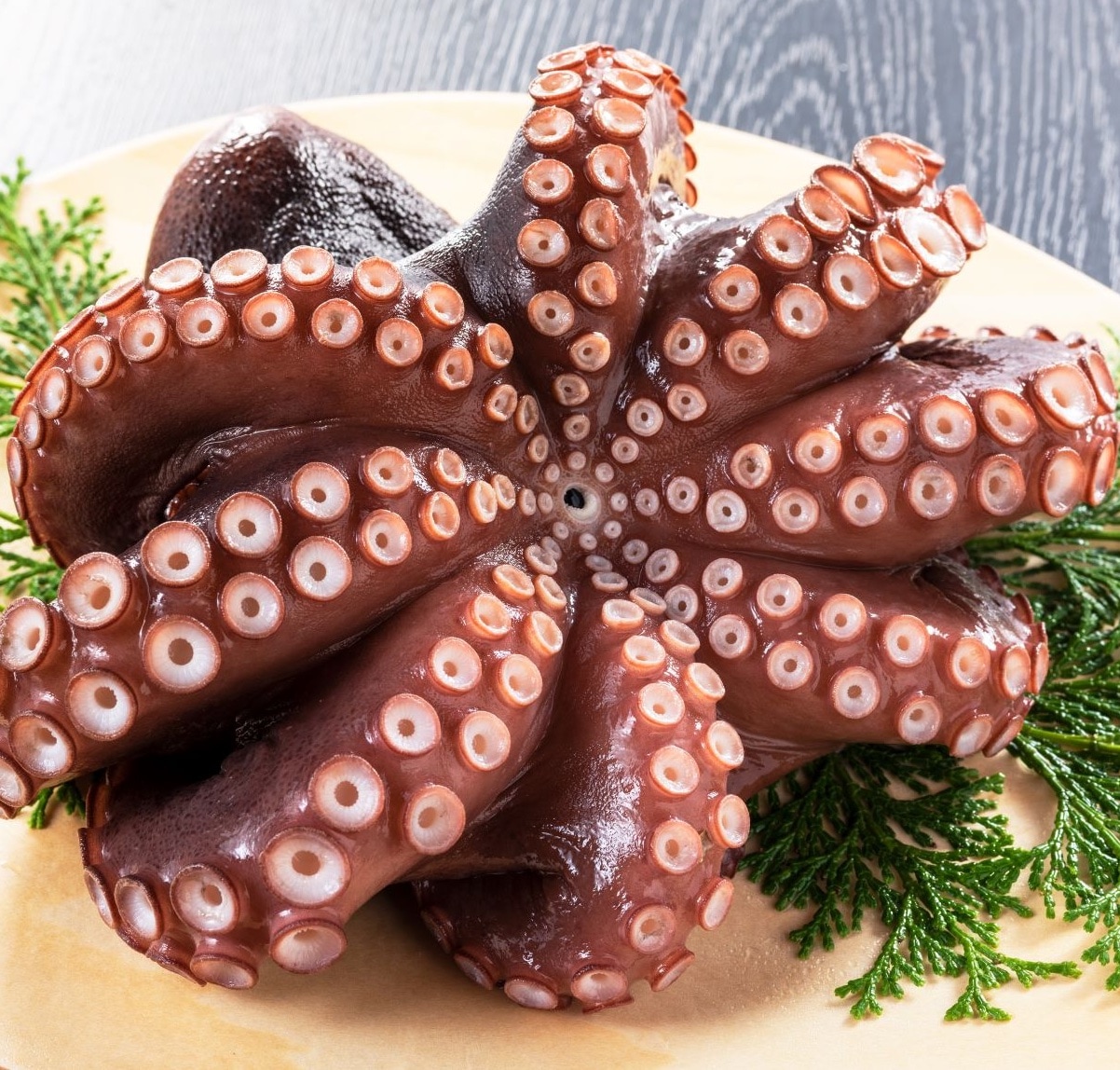 Minamisanriku Octopus