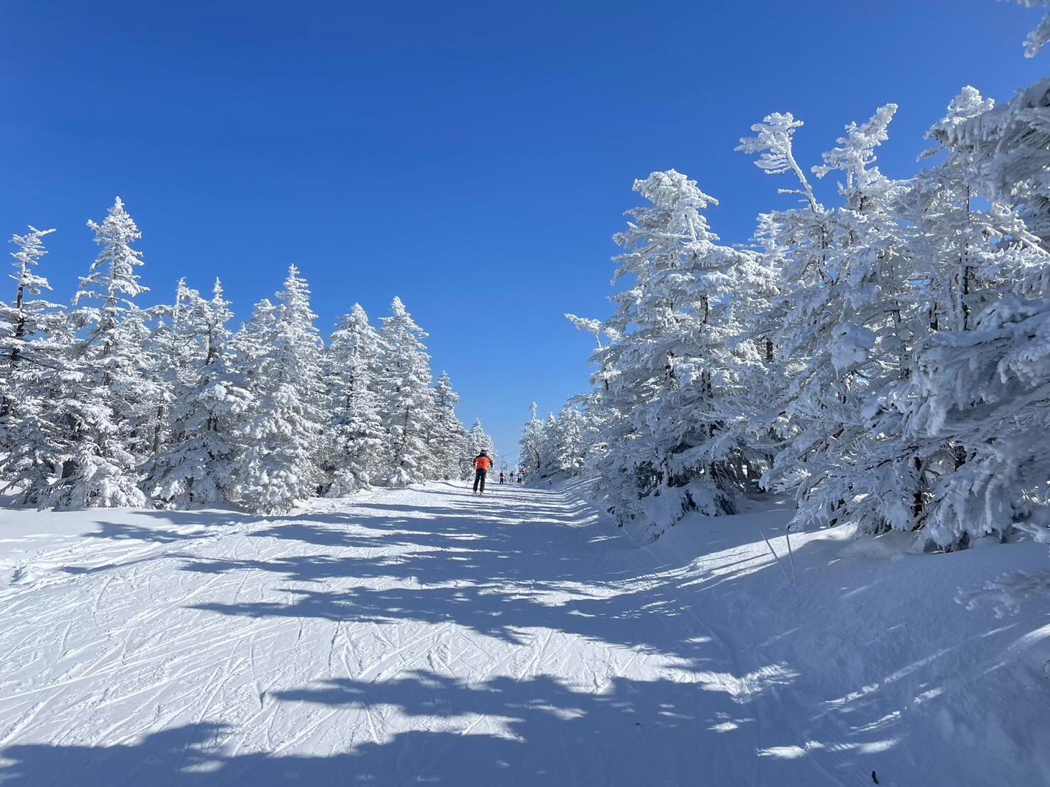 冬天的志賀高原