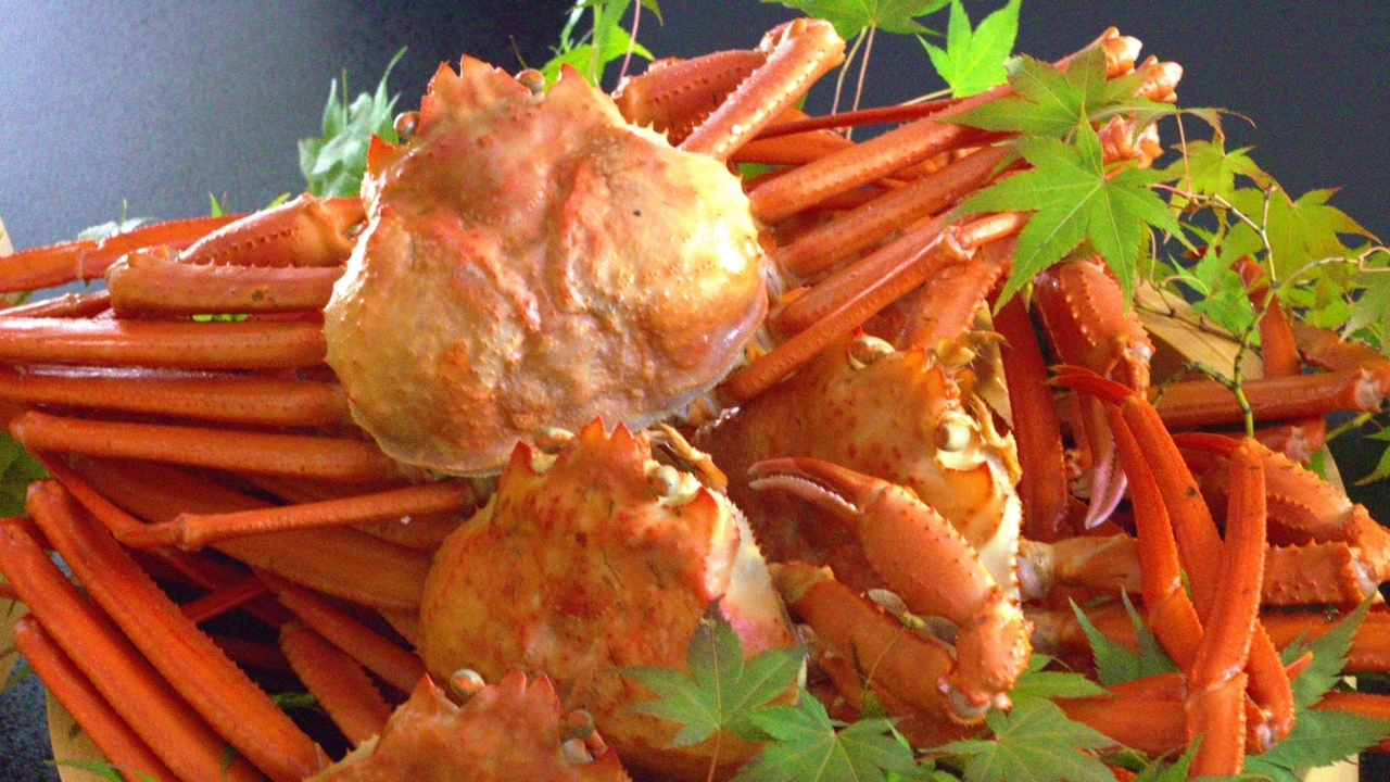 Crab, the king of winter delicacies