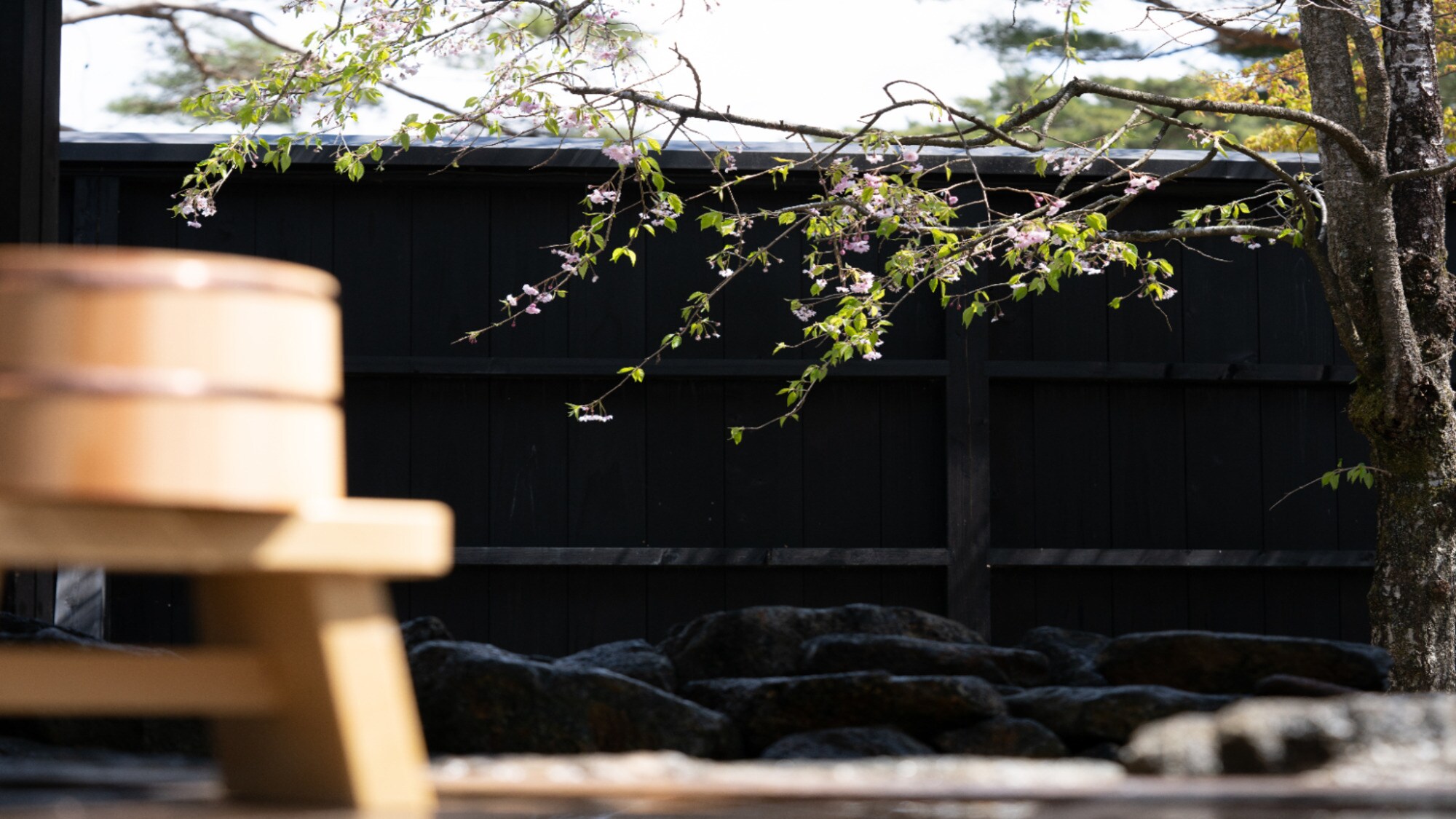 [Open-air bath] In spring, you can enjoy watching the cherry blossoms...