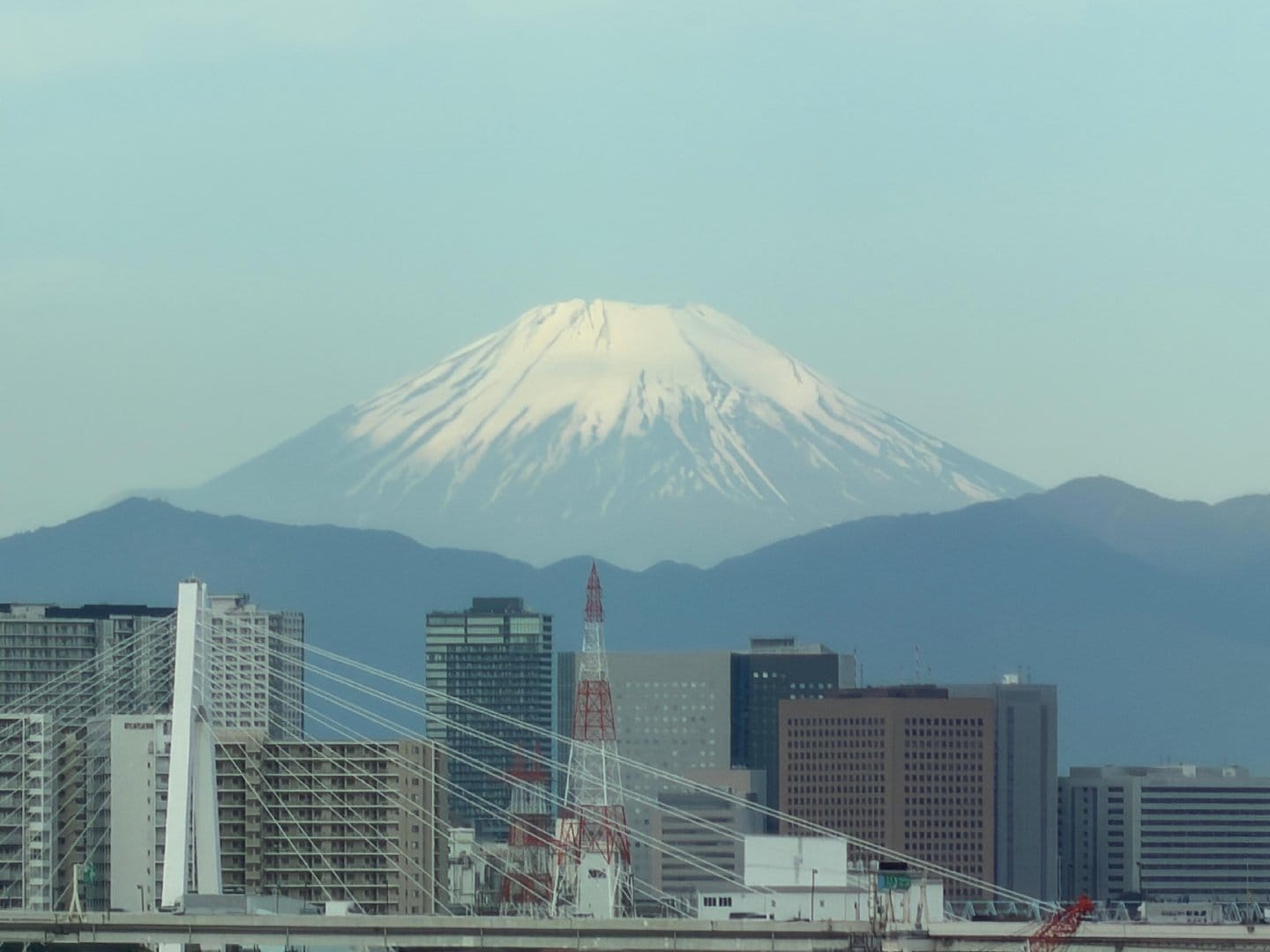A1AAD941-4966-44D3-A864-FC91B7D7D7D0.jpeg
