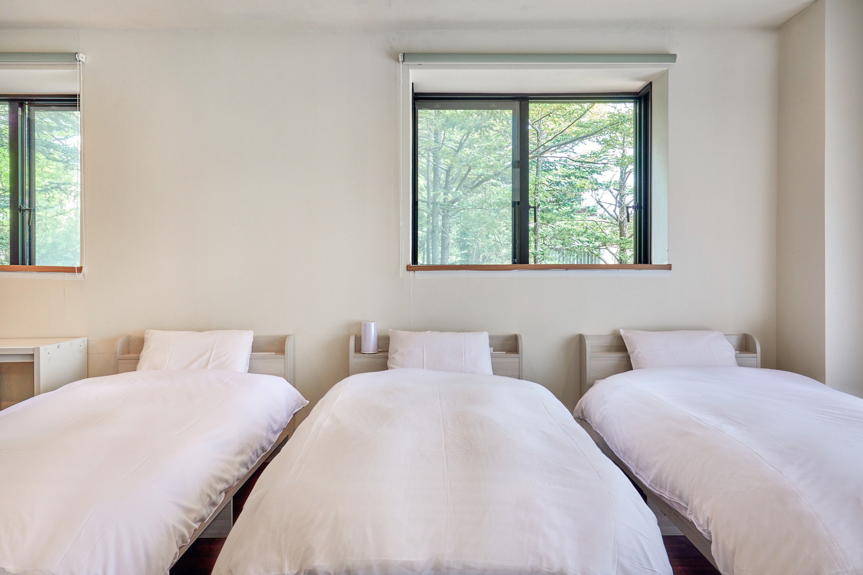 Suite Room (2-6 persons)
