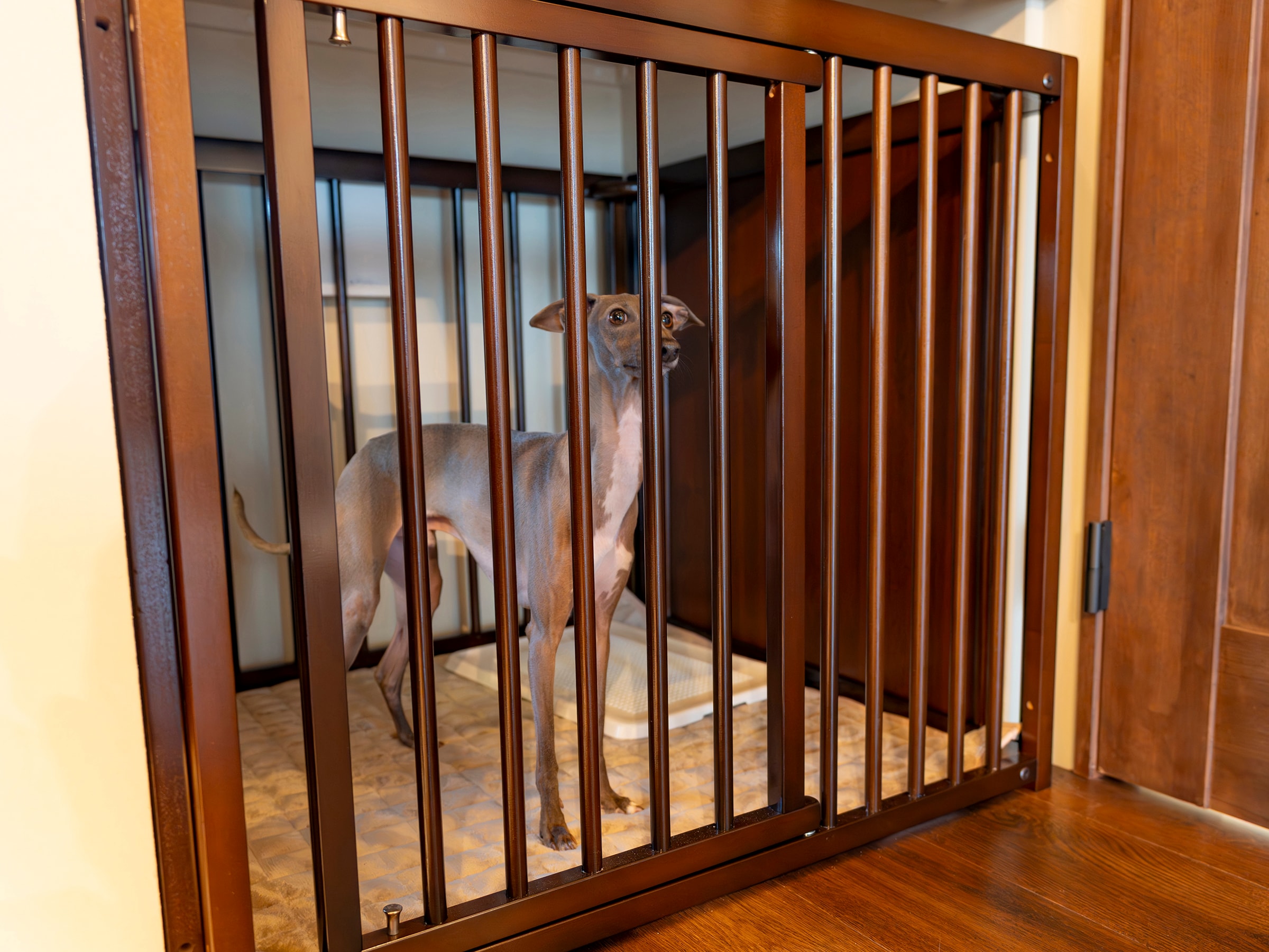 Dog cage