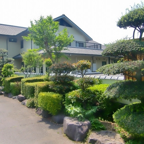Appearance image