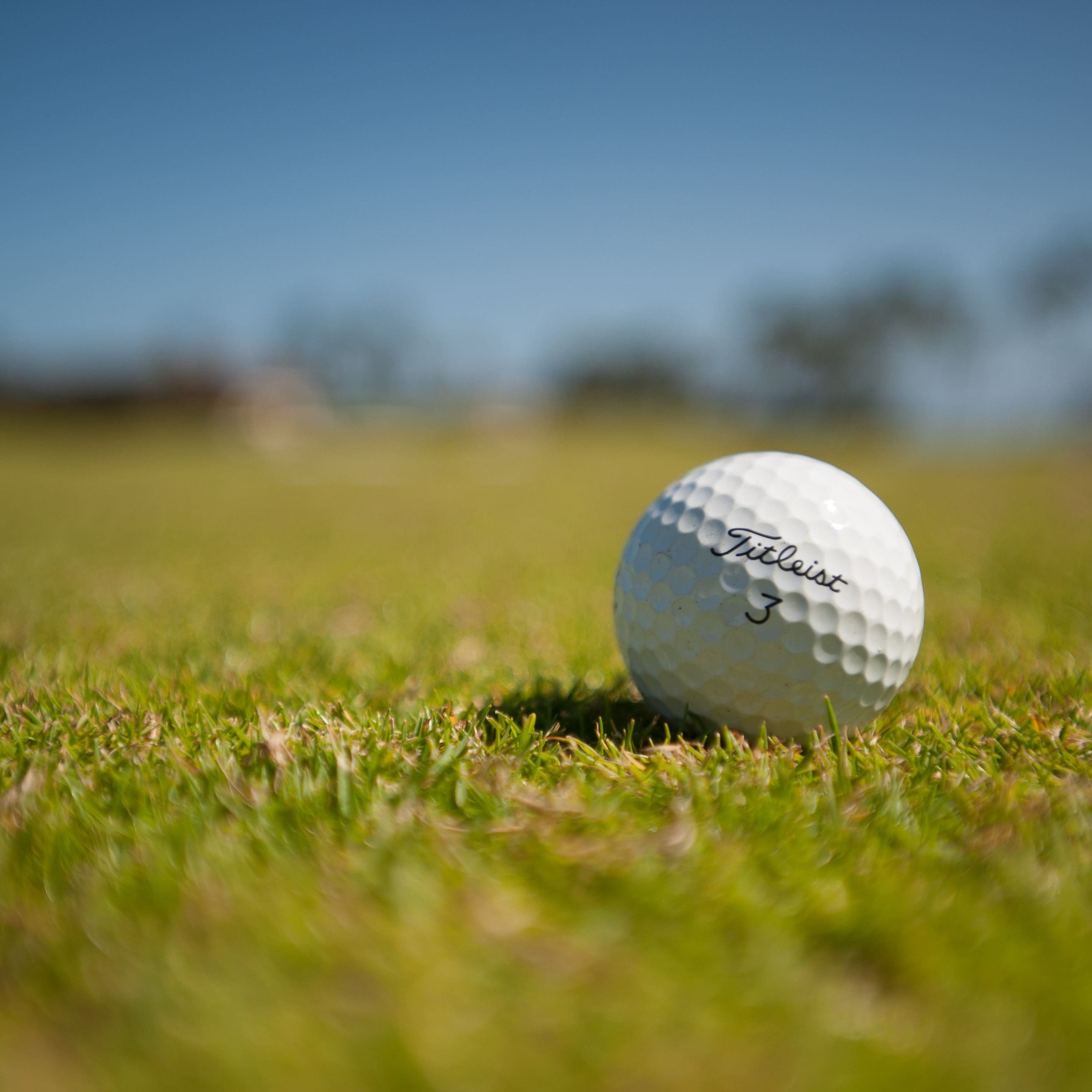 ★There are many golf courses in the area