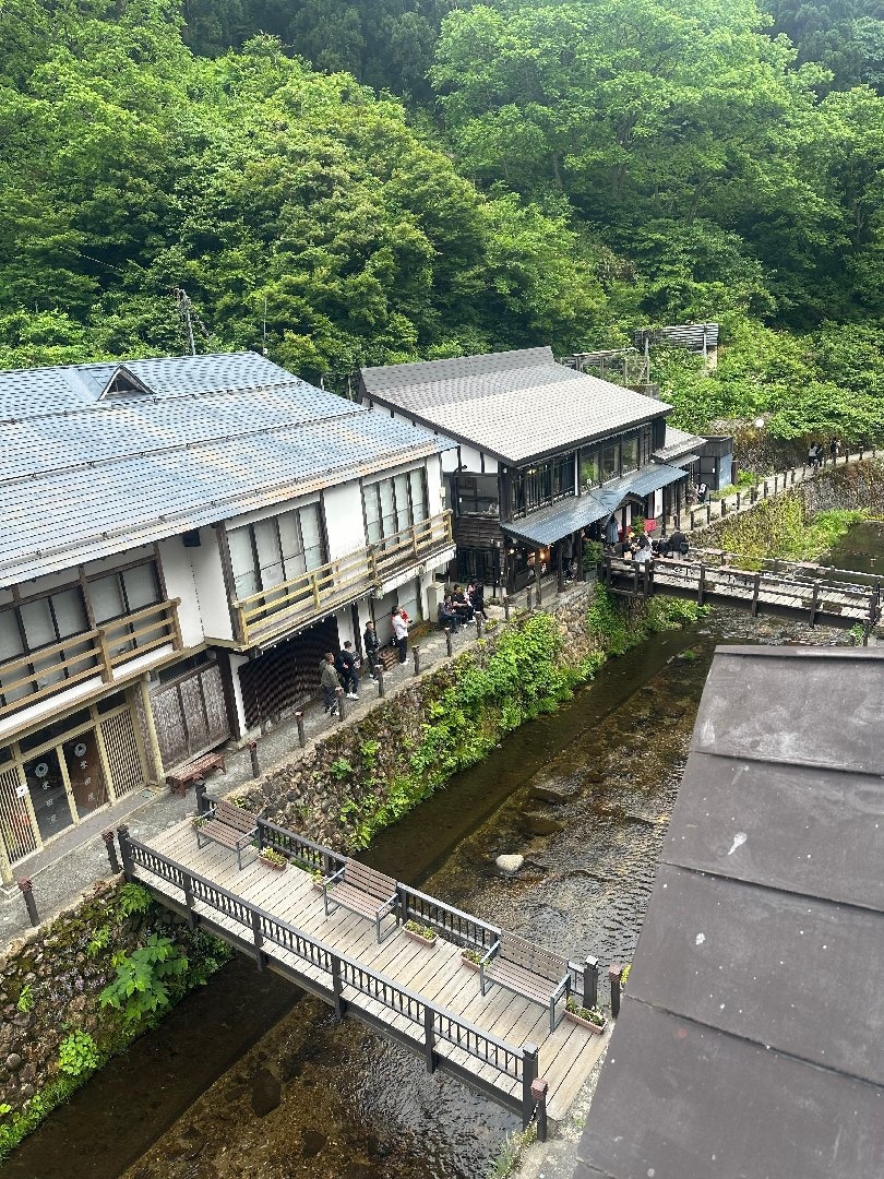 BD6E25A0-2E00-4E75-A6B9-25F93EC11338.jpeg