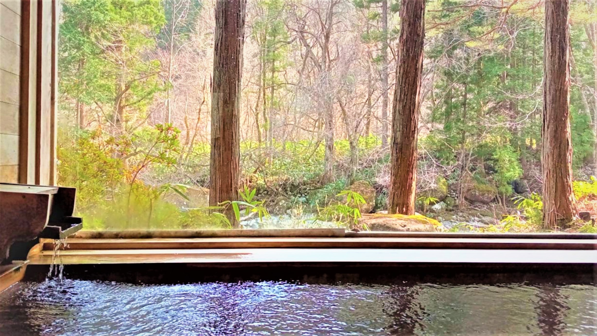 Cypress bath