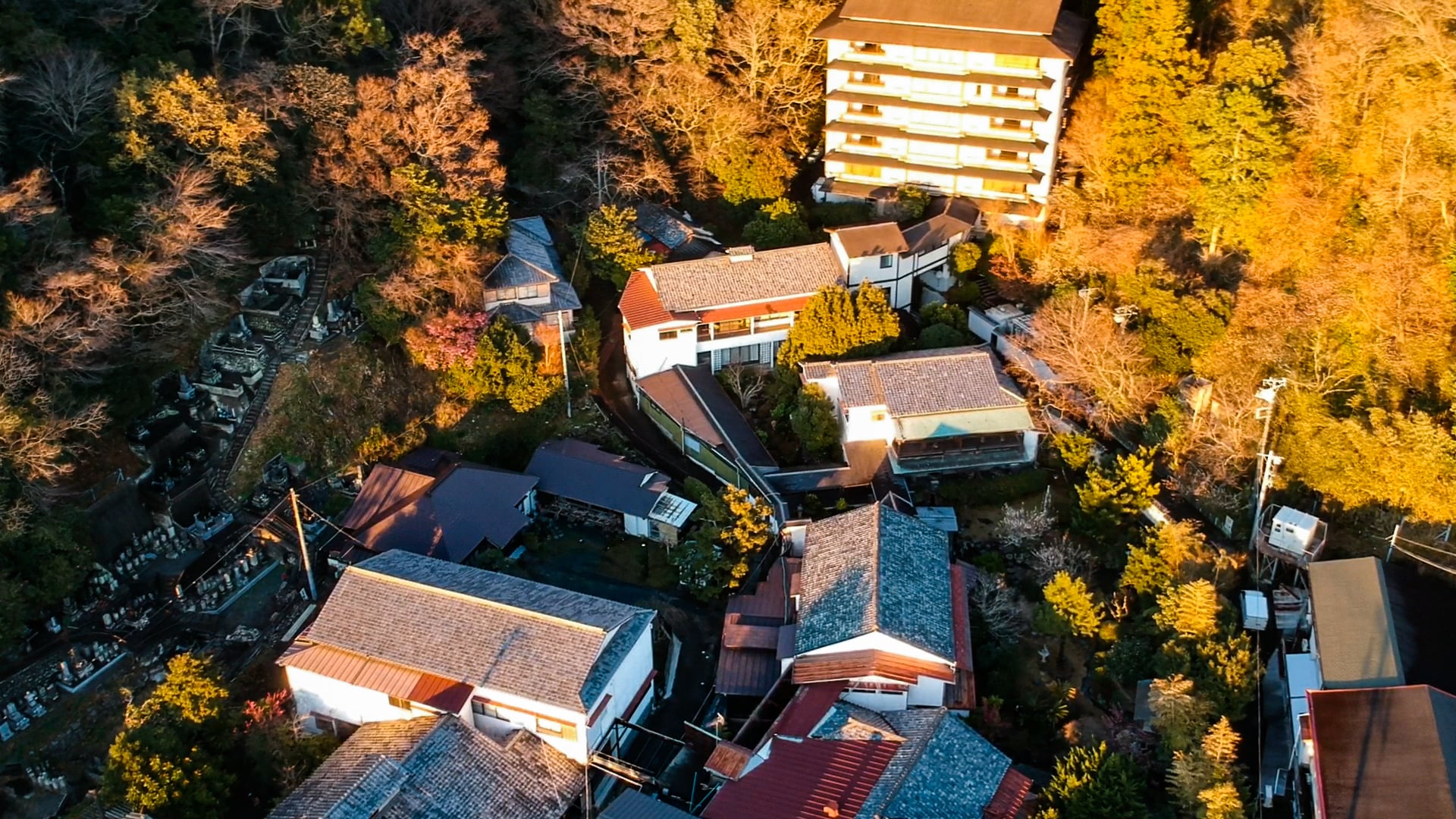 整栋楼合影