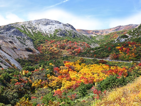 โจโดไดระในฤดูใบไม้ร่วง