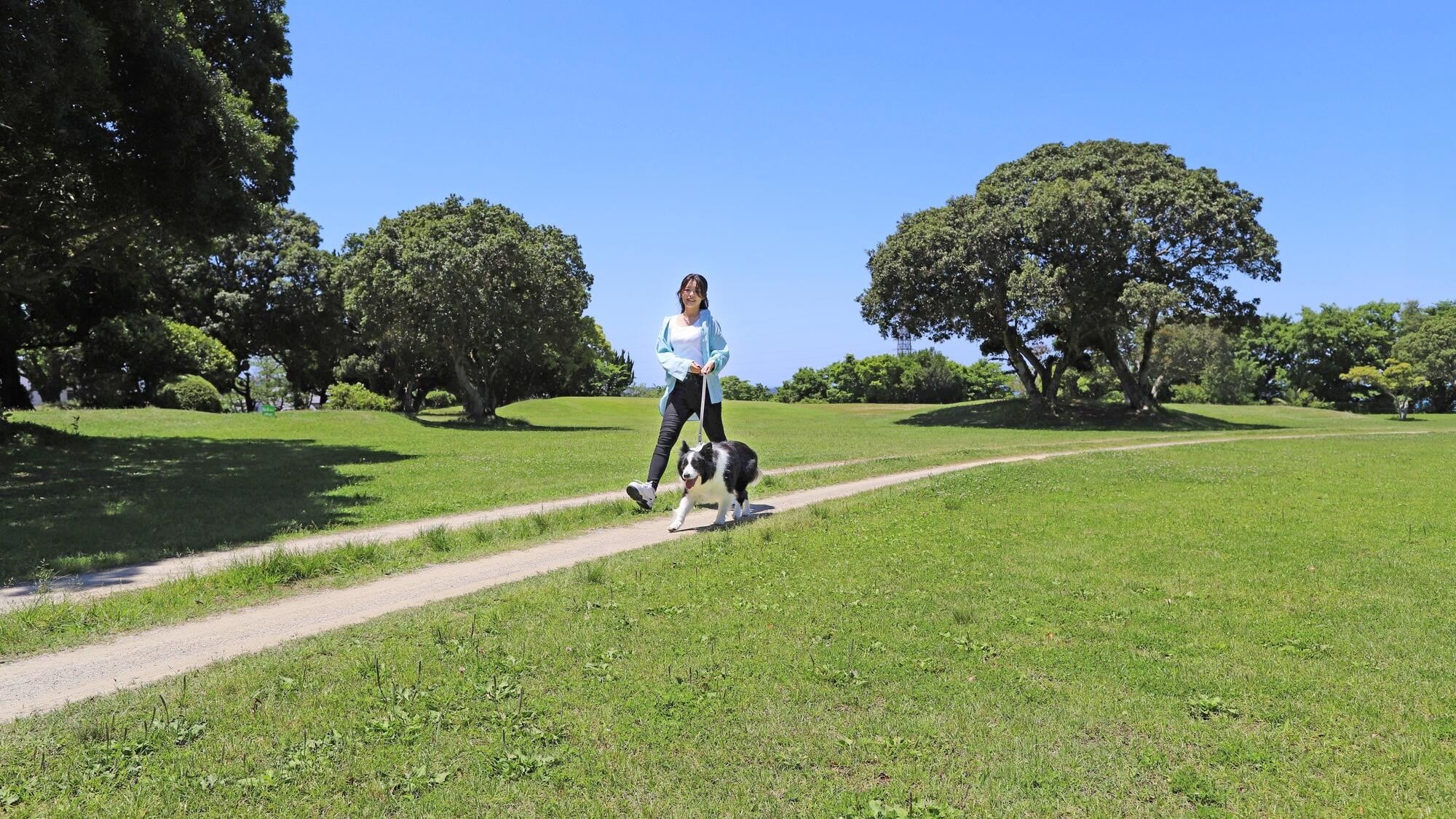 Walking course within the premises