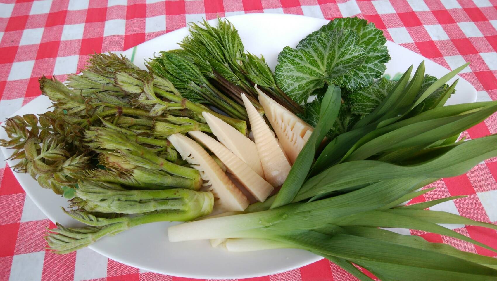 พืชป่า