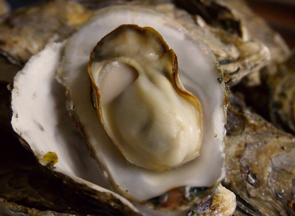 Steamed oysters