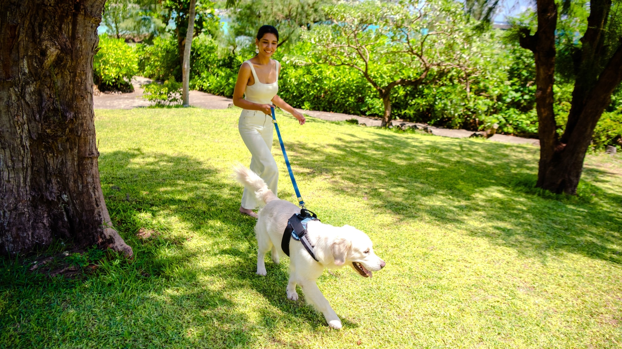 [Spend time with your dog] You can walk on all cart paths, so you can explore the resort with your dog.