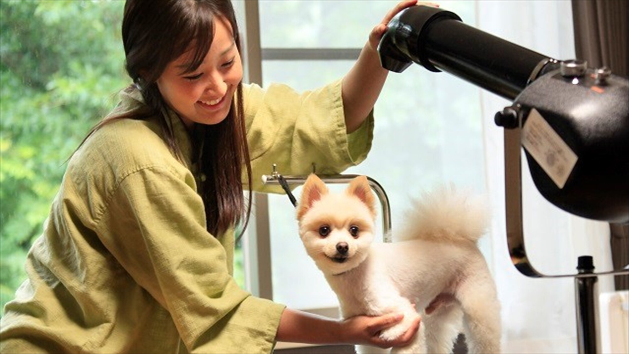 [Phòng chải chuốt] Bạn cũng có thể chải chuốt cho chú chó yêu quý của mình, điều mà thông thường bạn không thể làm được ♪ Tất nhiên, tất cả đều miễn phí.