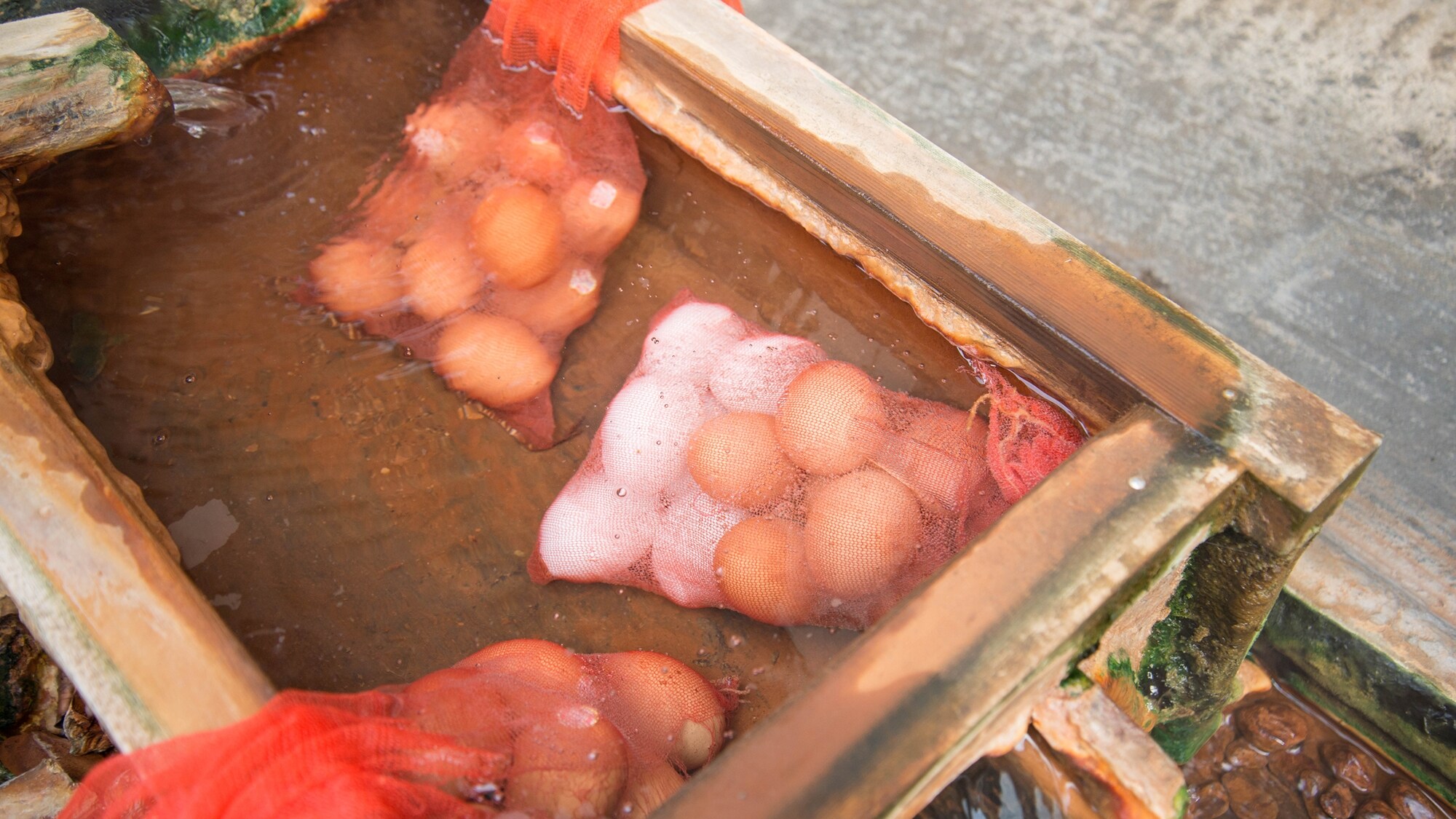 *[Hot spring eggs] We make hot spring eggs in the hot spring water bubbling up in front of our hotel.