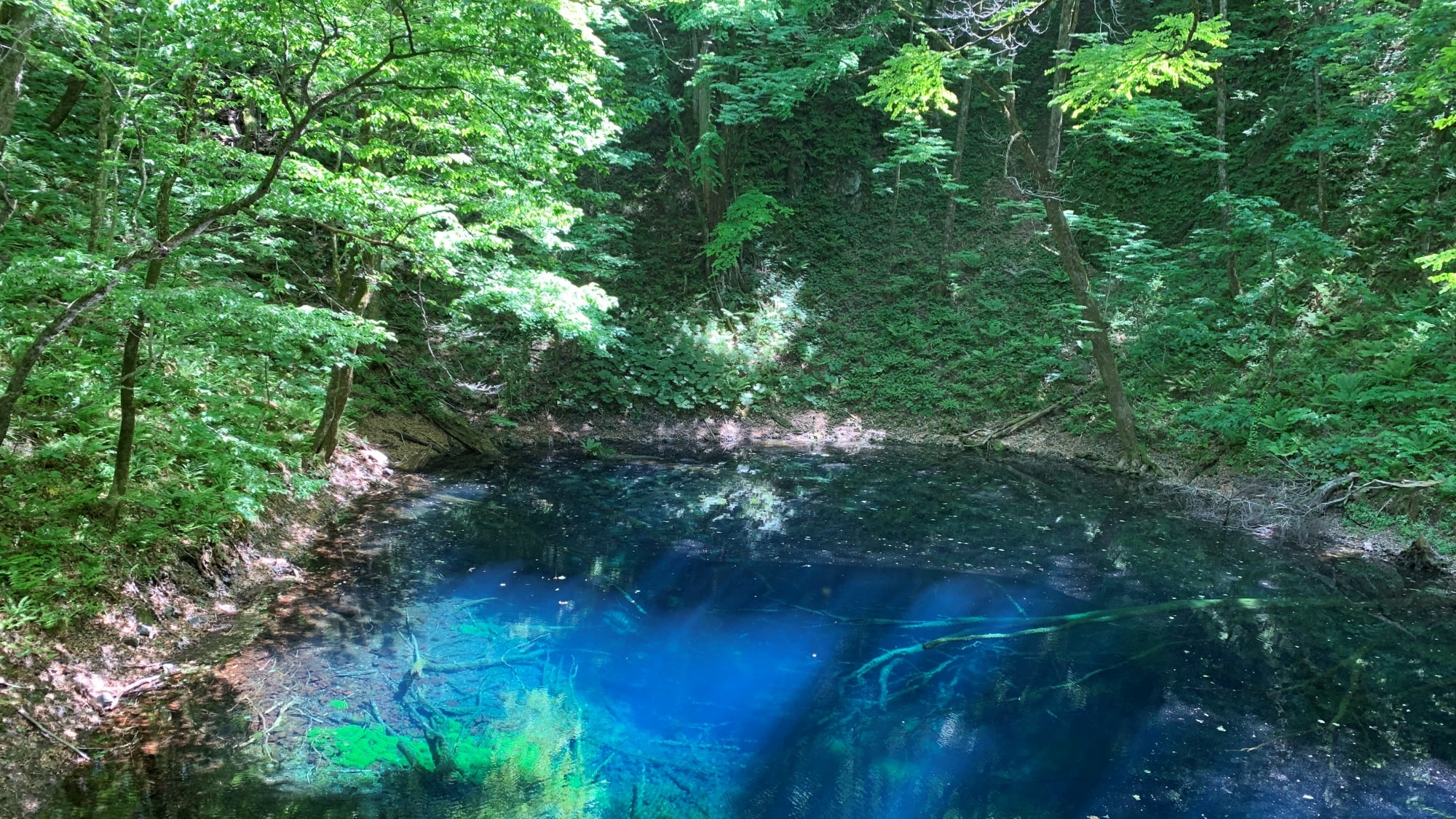 Blue Pond