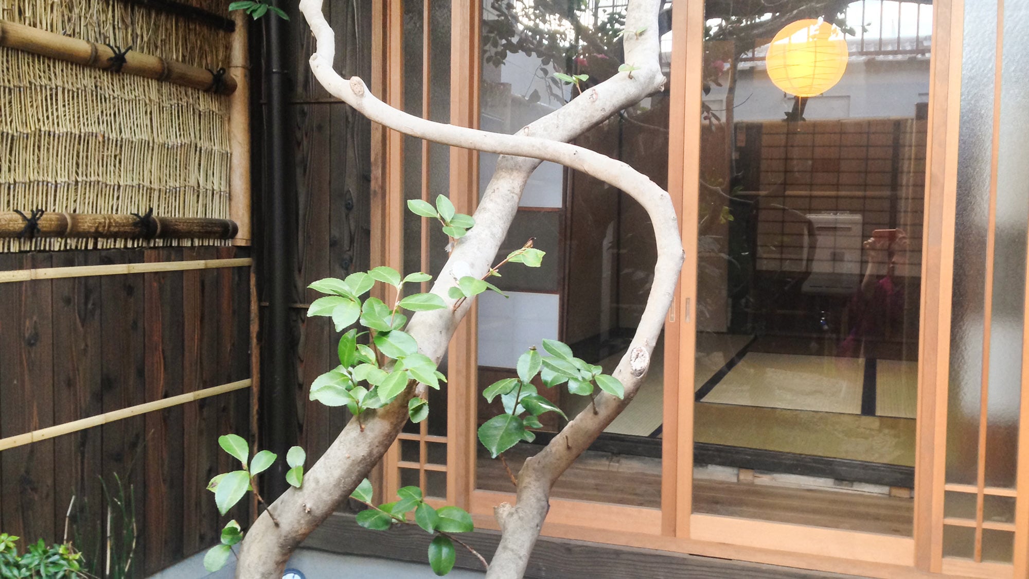 ・[庭院]也起到引入自然光和改善室內通風的作用。