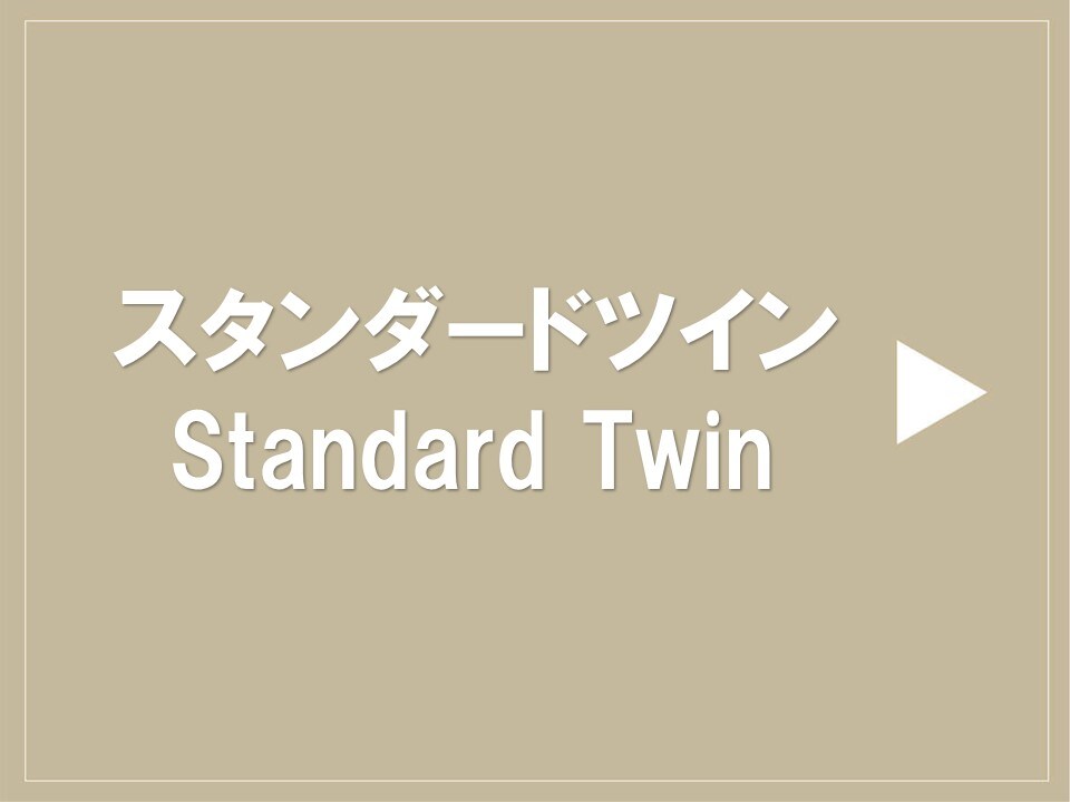 standard twin